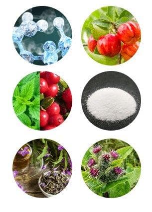 Arthron Meridian состав